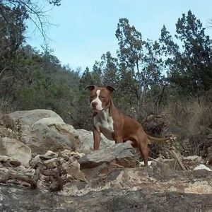 Meet your Posher, Jorge